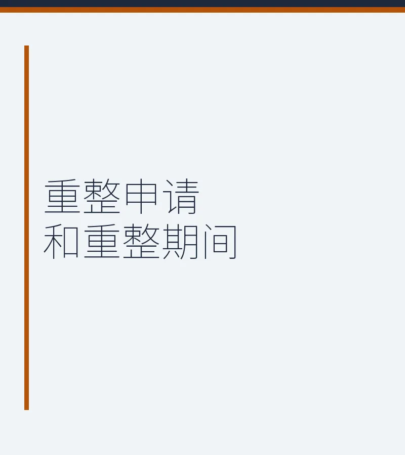 重整申请和重整期间