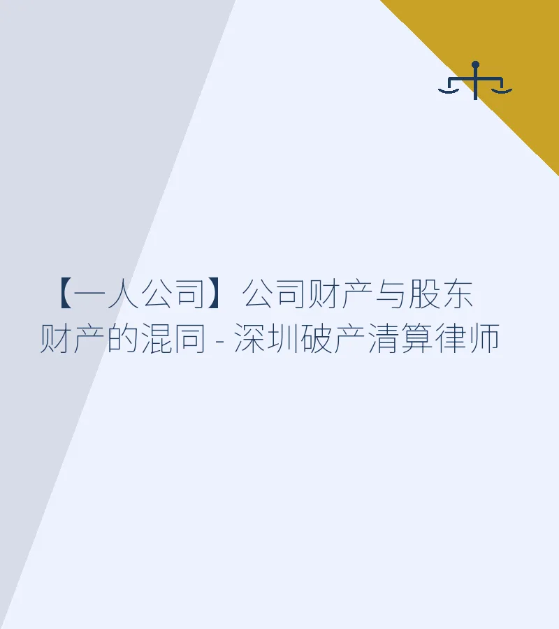 【一人公司】公司财产与股东财产的混同 - 深圳破产清算律师